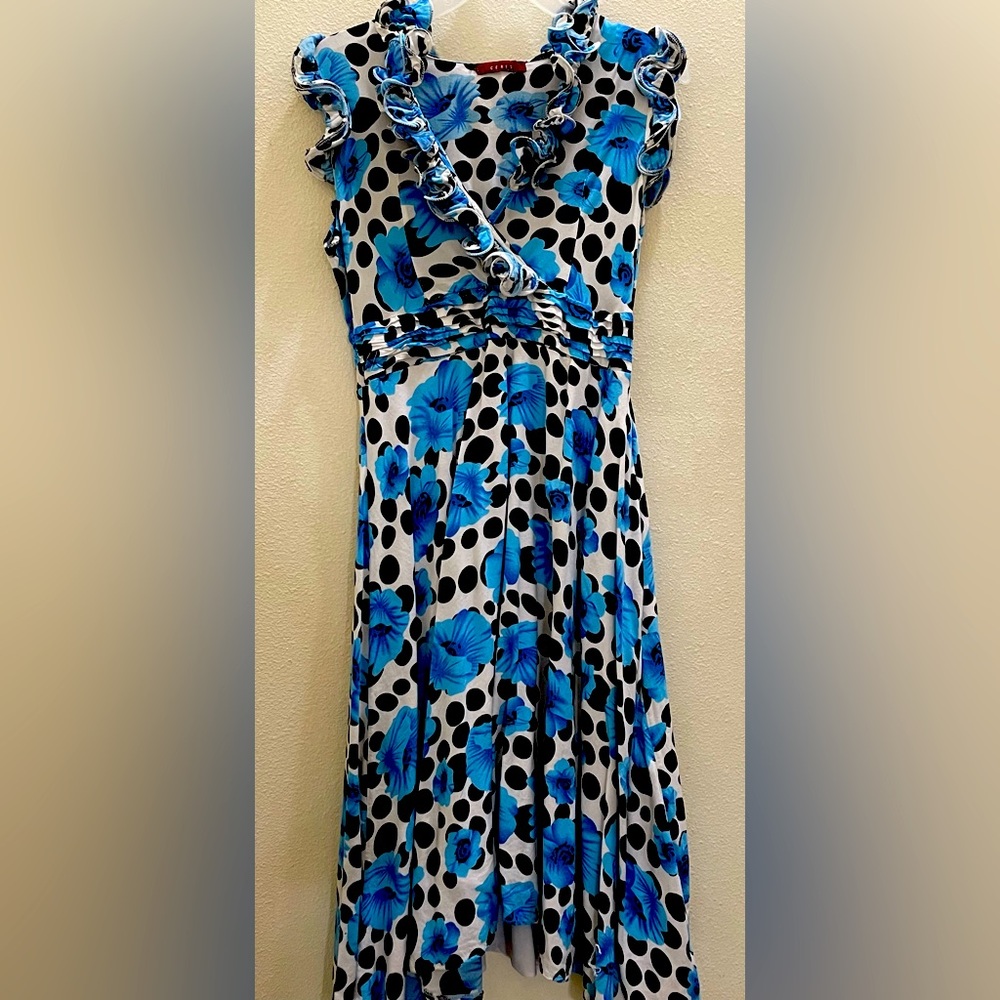 Floral Blue and Black Polka Dot Dress